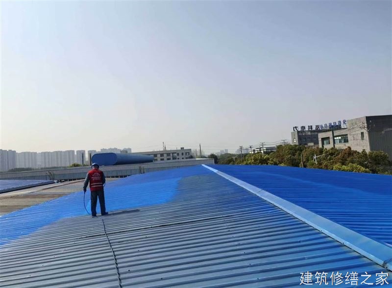 肇庆2026端州区 涂料 企业
